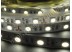 LED лента 5050/60 негерметичная (IP33) premium
